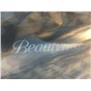 Image 1 : SIMMONS BEAUTYREST QUEEN SIZE MATTRESS