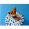 Image 5 : Vintage Hand-painted Hungarian DRASCHE Porcelain Butterfly