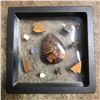 Image 2 : Grouping of Opal Gemstone Fragments