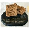 Image 1 : Petrified Wood-Quartz Crystal Cluster Display