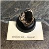 Image 1 : Prehistoric Petrified Wood Chunk, Wyoming Specimen
