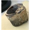 Image 5 : Prehistoric Petrified Wood Chunk, Wyoming Specimen