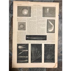 1857 Harper's Weekly Wood Engravings, Comets, Astonomy