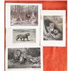 Image 1 : Group of Vintage c1920â€™s Half-tone Prints, Animals