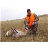 Image 1 : Wyoming, USA -- 1 Hunter for 3 Day Archery or Rifle Antelope Hunt