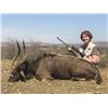 Image 1 : South Africa - 2 Hunters & 2 Non-Hunters for 7-Day Hunt for 1 Sable and 1 Nyala (Shared by Hunters)