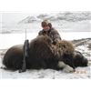 Image 1 : Greenland -- 1 Hunter for 3-Day Hunt for Muskox