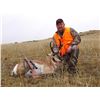 Image 1 : Wyoming, USA -- 1 Hunter for 3 Day Archery or Rifle Antelope Hunt
