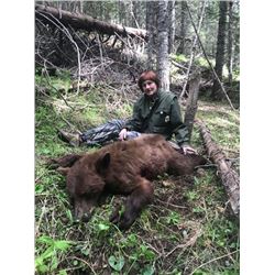 Idaho, USA -- 1 Hunter for 6-Day Spring or Fall Archery Black Bear Hunt with dogs and bait.