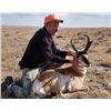 Image 2 : Wyoming, USA -- 1 Hunter for 5-Day Pronghorn Antelope and Deer Hunt with great Trout fishing
