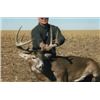 Image 3 : Wyoming, USA -- 1 Hunter for 5-Day Pronghorn Antelope and Deer Hunt with great Trout fishing