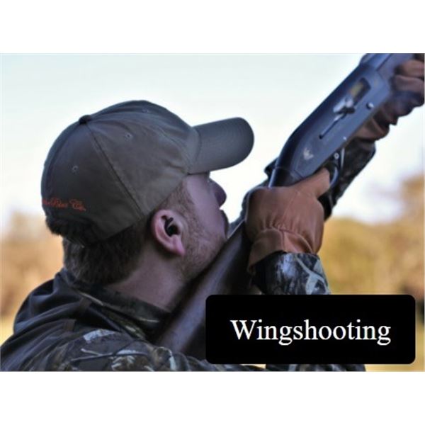 Cordoba, Argentina -- 3 Hunters for 3-Day High Volume Dove Hunt