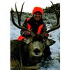Image 1 : SPECIAL YOUTH BUCK MULE DEER AND COW ELK HUNT IN COLORADO