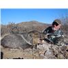 Image 1 : Arizona, USA One hunter for 3 Day Javelina Hunt