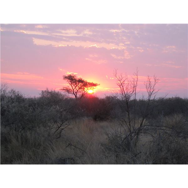 South Africa , 2 Hunters, 6 days, Gemsbuck, wilderbeest and Blesbuck.