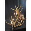 Image 2 : Genuine Elk Antler Chandelier