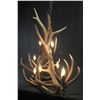 Image 3 : Genuine Elk Antler Chandelier