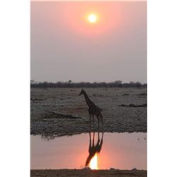 Wayne Wagner Photo Safari for Two with Option to Hunt