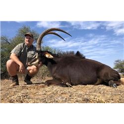 Hunt for Two Sables in South Africa