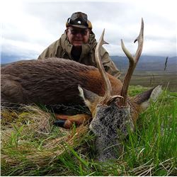 Scotland Estate Roe Deer Hunt