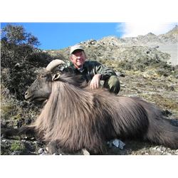 New Zealand Tahr Hunt
