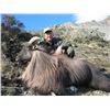Image 1 : New Zealand Tahr Hunt