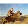 Image 3 : New Zealand Tahr Hunt