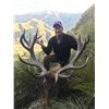 Image 8 : New Zealand Tahr Hunt