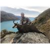 Image 9 : New Zealand Tahr Hunt
