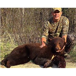 Ontario Bear Hunt