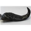 Image 3 : Carved Cape Buffalo Horns