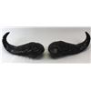 Image 9 : Carved Cape Buffalo Horns