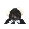 Image 2 : Sheared Rex Black Teddy Bear (Mr. Bear)