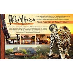 Two Giraffe Hunt in South Africa