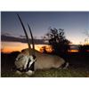 Image 2 : African Plains Game - 2 Hunters/2 Observers - 8 days -