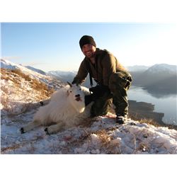 Uganik River, Kodiak Island Mountain Goat Special Permit