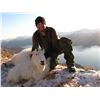 Image 3 : Uganik River, Kodiak Island Mountain Goat Special Permit