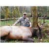 Image 1 : 7-Day Washington Elk Hunt for One Hunter & One Observer