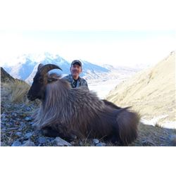 5-Day New Zealand Himalayan Bull Tahr Hunt for One Hunter and One Observer