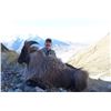 Image 1 : 5-Day New Zealand Himalayan Bull Tahr Hunt for One Hunter and One Observer