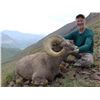 Image 3 : Kamchatka or Koryak Snow Sheep Hunt in Russia
