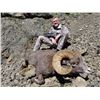 Image 4 : Kamchatka or Koryak Snow Sheep Hunt in Russia