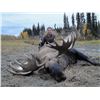 Image 2 : Koyukuk Controlled Use Area Bull Moose Special Permit
