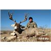 Image 1 : New Mexico 5-Day Rifle Mule Deer Hunt for Two Hunters