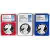 Image 1 : Set of 2019-W $1 Proof American Silver Eagle Coins NGC PF70 Ultra Cameo Red White Blue