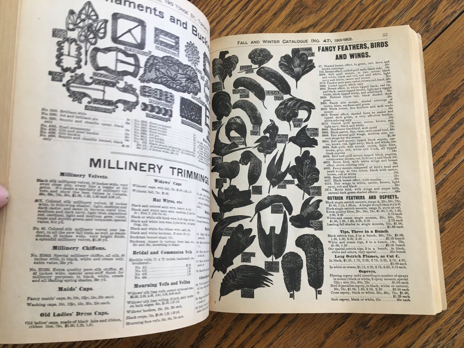 REPRODUCTION 1901 EATONS CATALOGUE