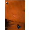 Image 11 : Hermes Canvas/Leather Tote