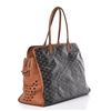 Image 3 : Goyard Toile Canvas Pet Carrier