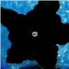 Image 3 : Edward Rithner Teal Flower Paperweight