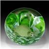Image 2 : Joe St. Clair Turtle Sulphide Paperweight